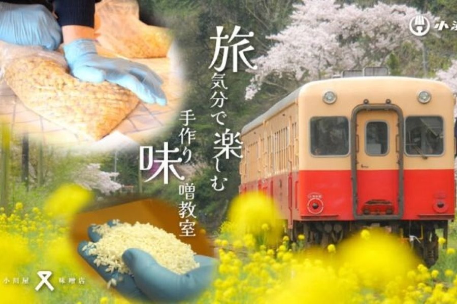 小川屋味噌店 味噌作り教室 クラウドファンディング始めました。